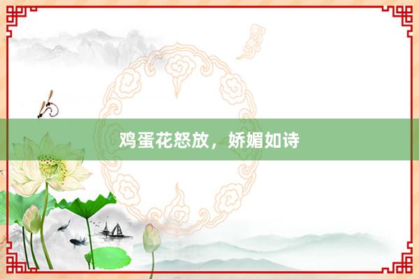 鸡蛋花怒放,娇媚如诗